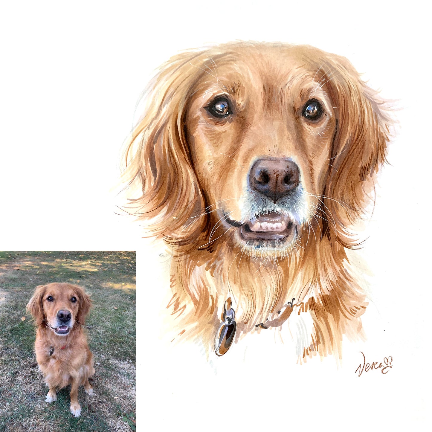 Order Custom hand-drawing dog portrait