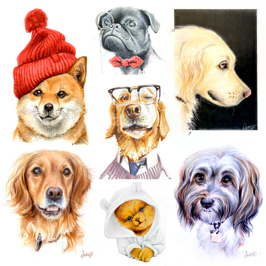 Order Custom hand-drawing dog portrait